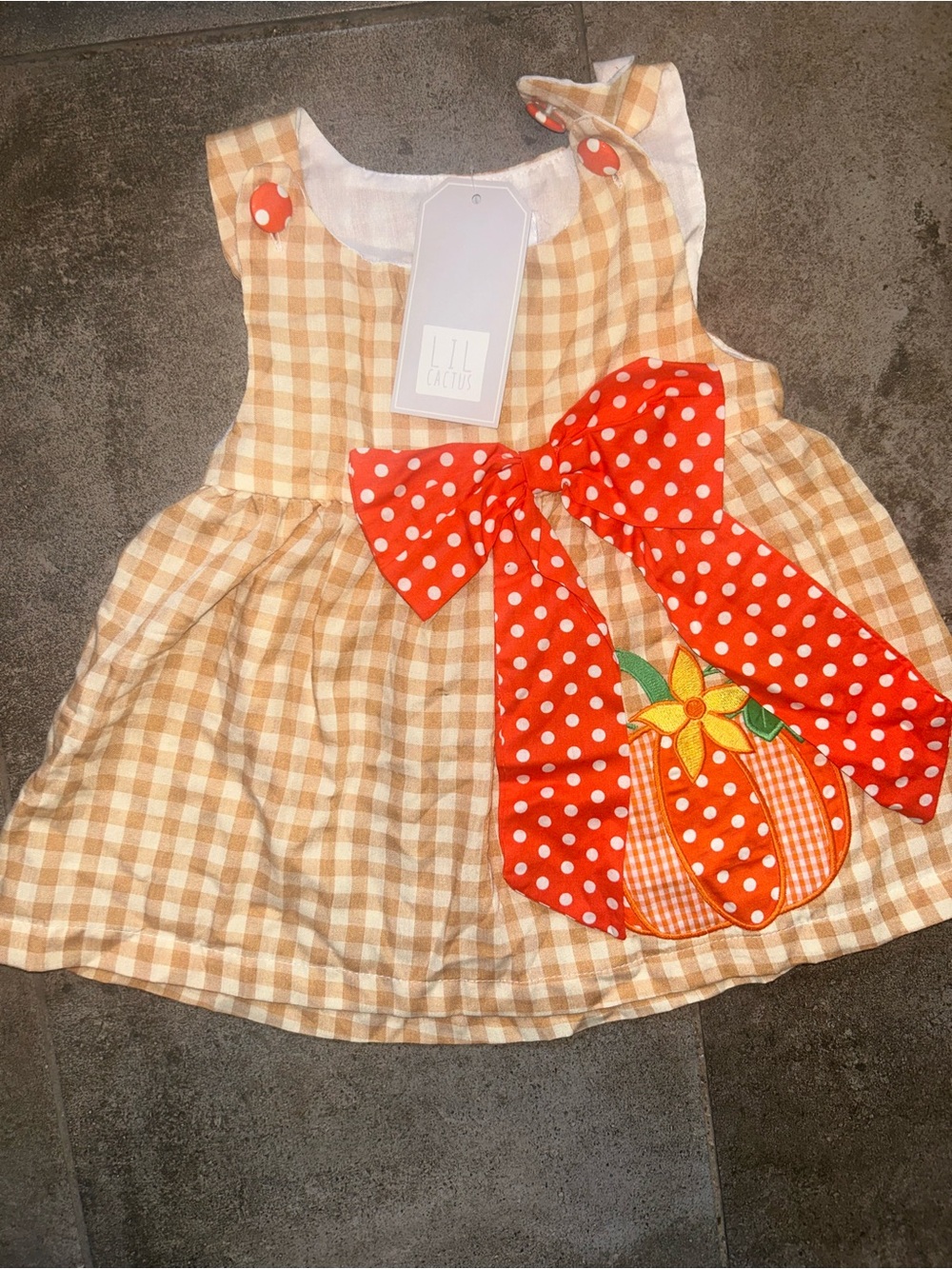 Cactus Beige Gingham Dress with pumpkin